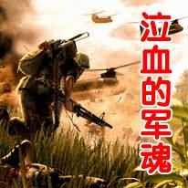 泣血的军魂