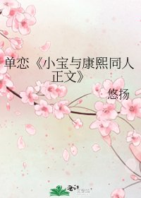 小宝与康熙同人